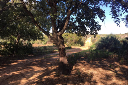 66594443e280e04e172f23e2a5fbfaab - 18