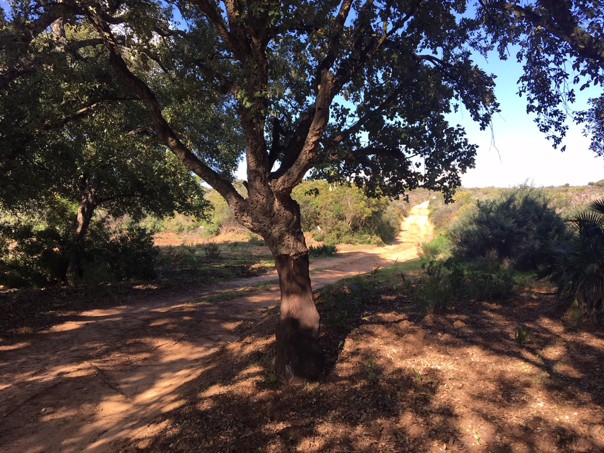 66594443e280e04e172f23e2a5fbfaab - 18