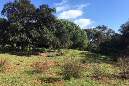 66594443e280e04e172f23e2a5fbfaab - 19