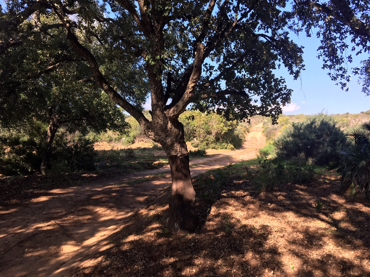 66594443e280e04e172f23e2a5fbfaab - 20