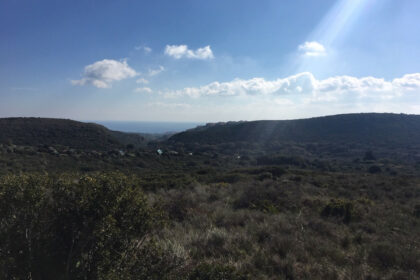 66594443e280e04e172f23e2a5fbfaab - 21