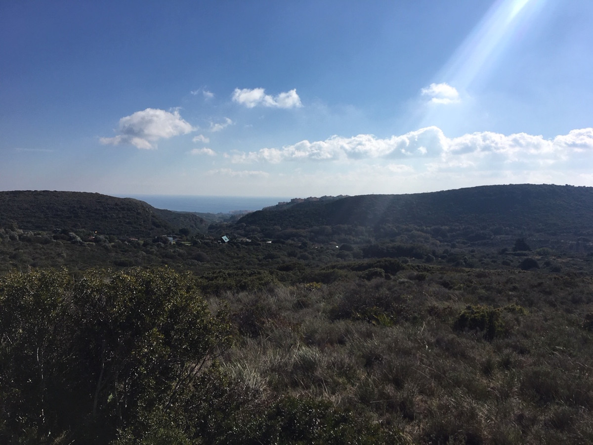 66594443e280e04e172f23e2a5fbfaab - 21