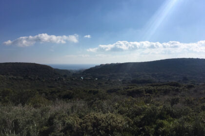 66594443e280e04e172f23e2a5fbfaab - 23