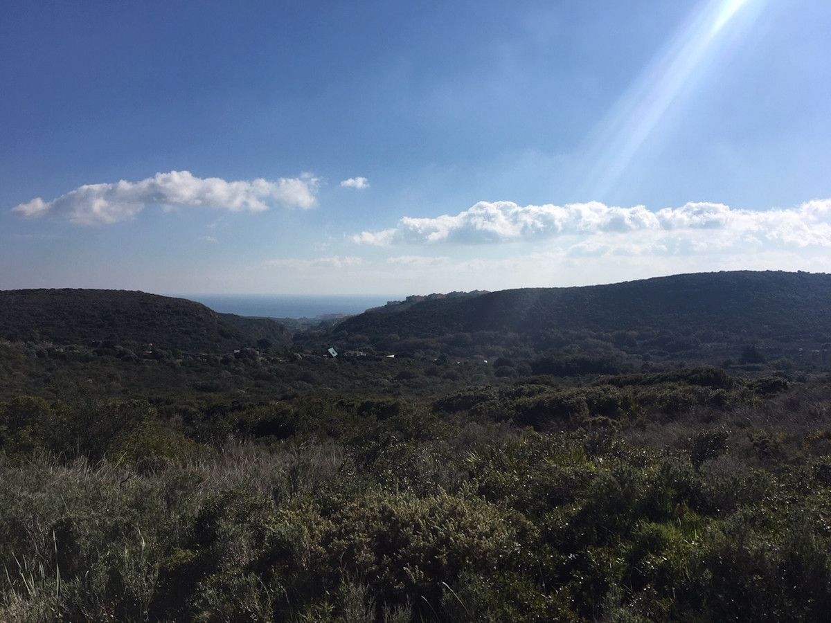 66594443e280e04e172f23e2a5fbfaab - 23