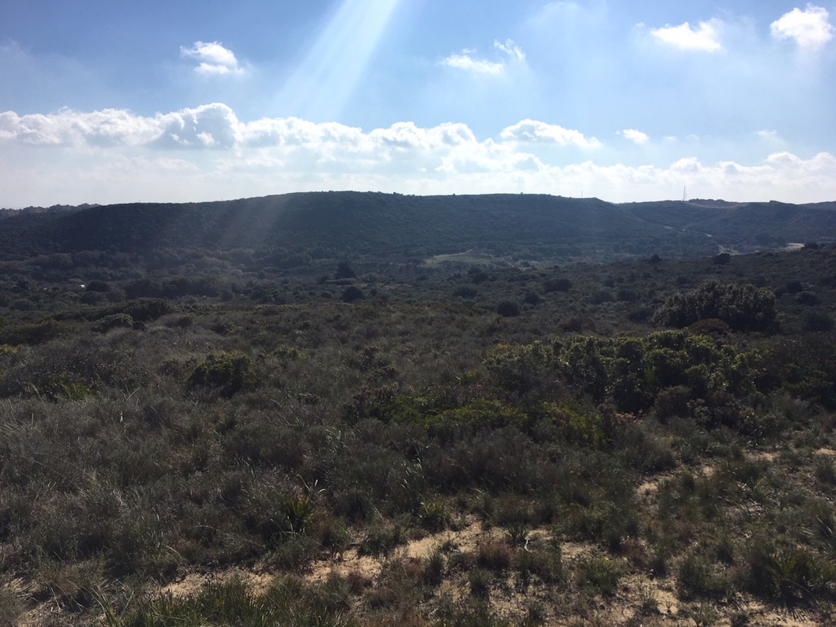 66594443e280e04e172f23e2a5fbfaab - 24