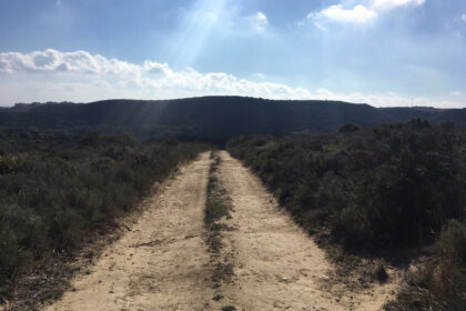 66594443e280e04e172f23e2a5fbfaab - 25