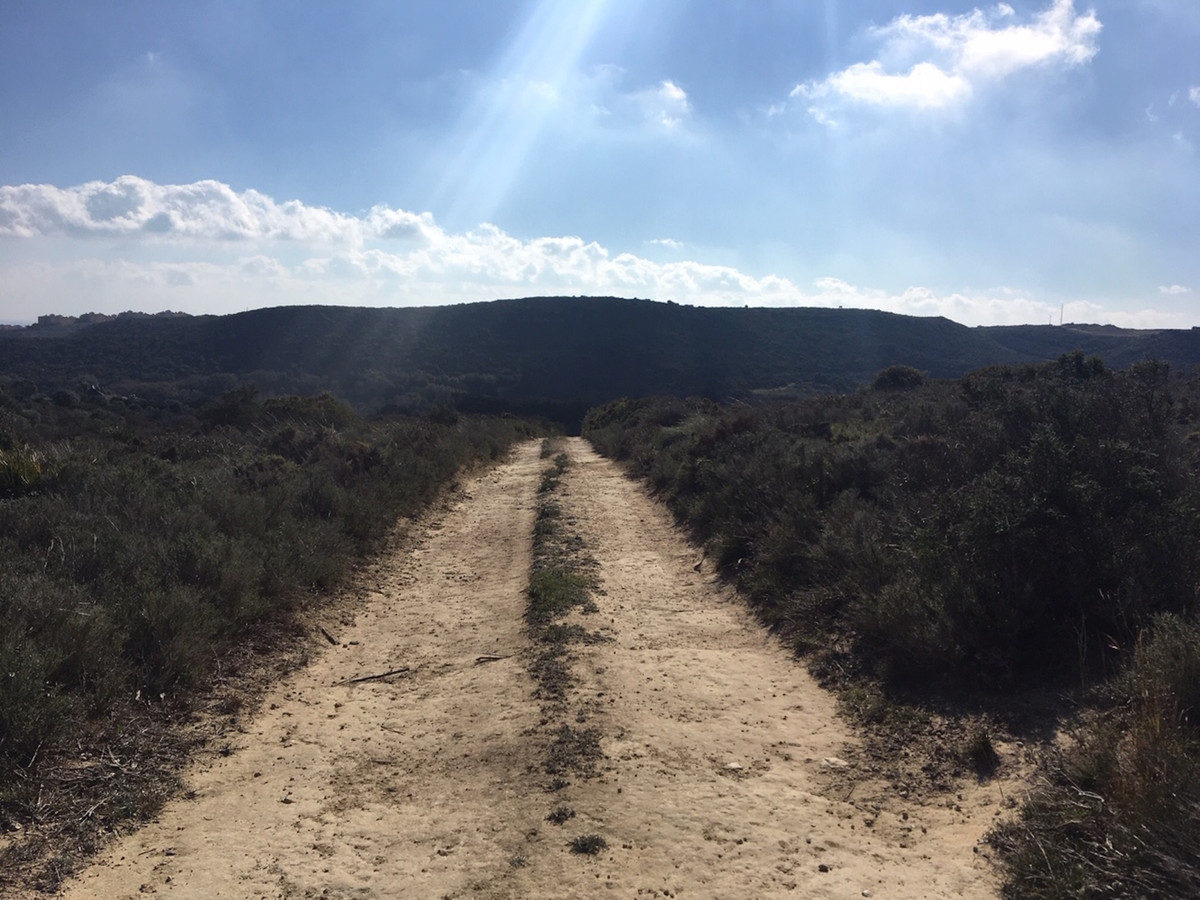 66594443e280e04e172f23e2a5fbfaab - 25