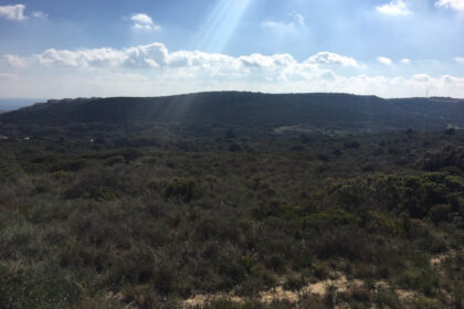 66594443e280e04e172f23e2a5fbfaab - 26