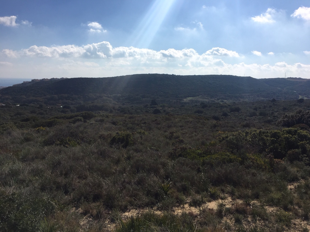 66594443e280e04e172f23e2a5fbfaab - 26