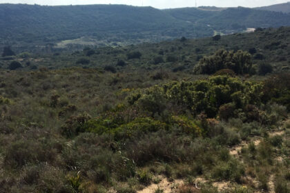 66594443e280e04e172f23e2a5fbfaab - 27