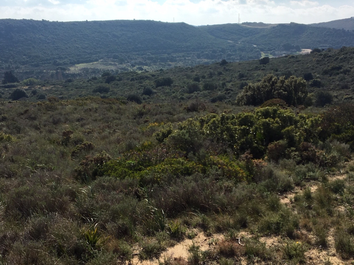 66594443e280e04e172f23e2a5fbfaab - 27