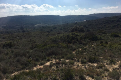 66594443e280e04e172f23e2a5fbfaab - 28