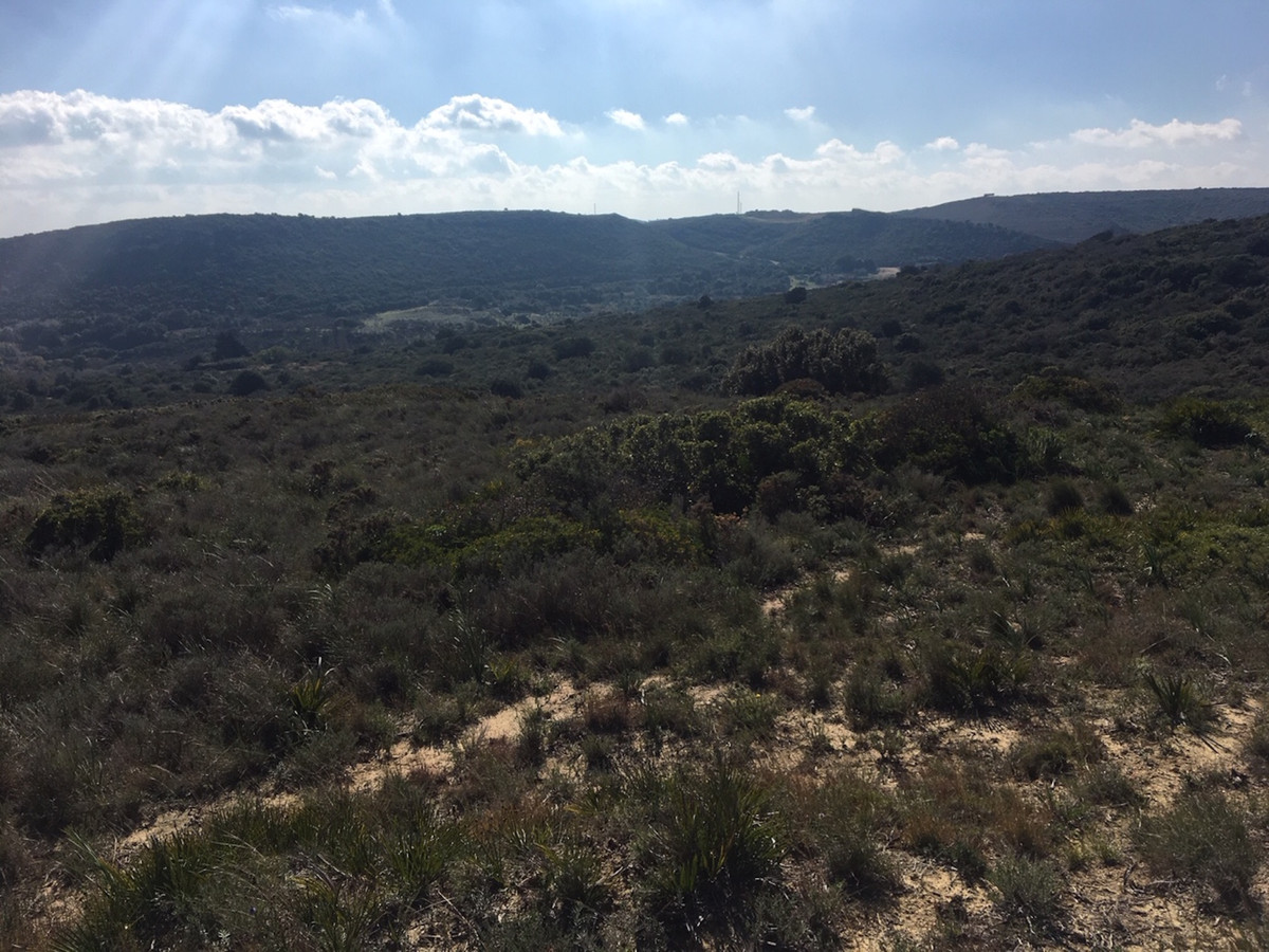 66594443e280e04e172f23e2a5fbfaab - 28