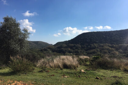 66594443e280e04e172f23e2a5fbfaab - 3