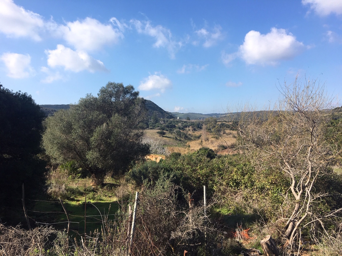 66594443e280e04e172f23e2a5fbfaab - 31