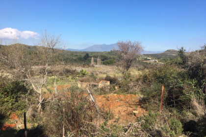 66594443e280e04e172f23e2a5fbfaab - 33