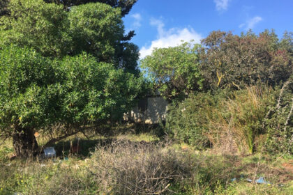 66594443e280e04e172f23e2a5fbfaab - 4