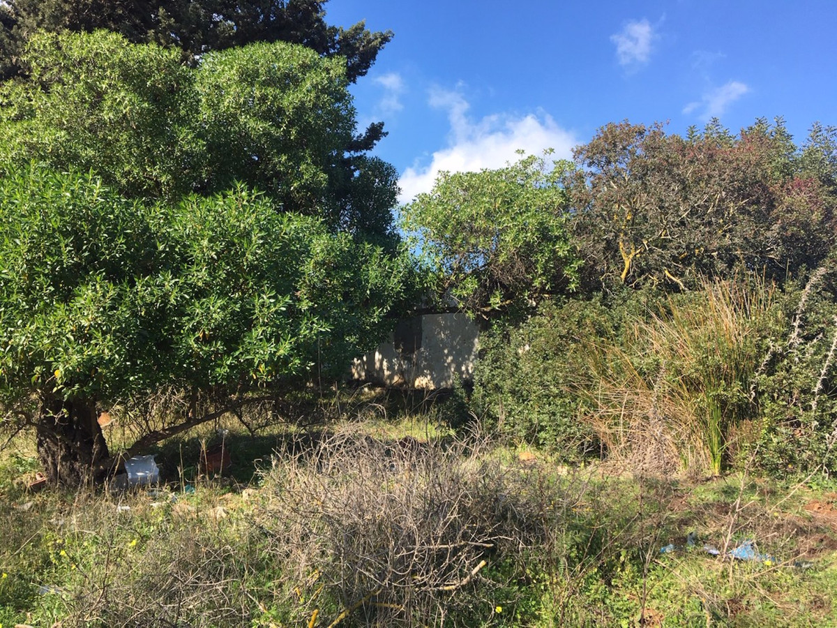 66594443e280e04e172f23e2a5fbfaab - 4