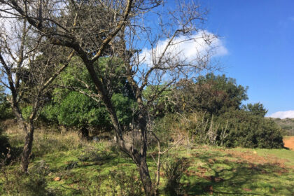 66594443e280e04e172f23e2a5fbfaab - 5