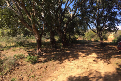 66594443e280e04e172f23e2a5fbfaab - 7