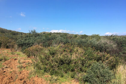 66594443e280e04e172f23e2a5fbfaab - 8