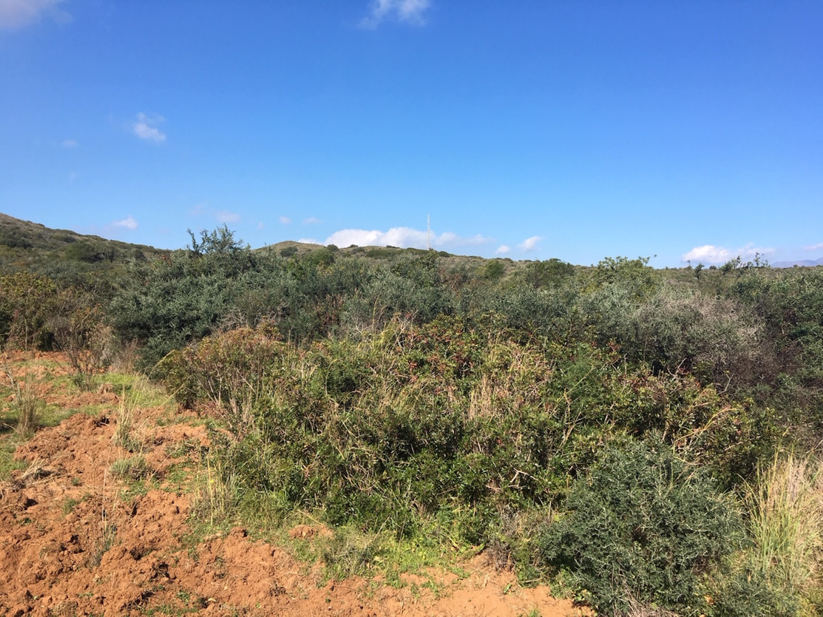 66594443e280e04e172f23e2a5fbfaab - 8