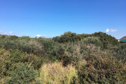 66594443e280e04e172f23e2a5fbfaab - 9