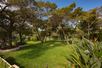 67e4d6bb6731d482a837df071ee76adc - 17