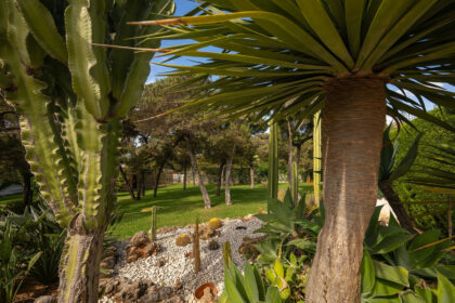 67e4d6bb6731d482a837df071ee76adc - 18