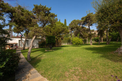 67e4d6bb6731d482a837df071ee76adc - 21