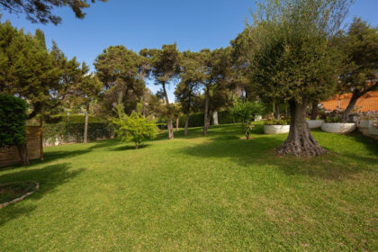 67e4d6bb6731d482a837df071ee76adc - 22