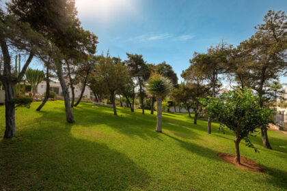 67e4d6bb6731d482a837df071ee76adc - 31