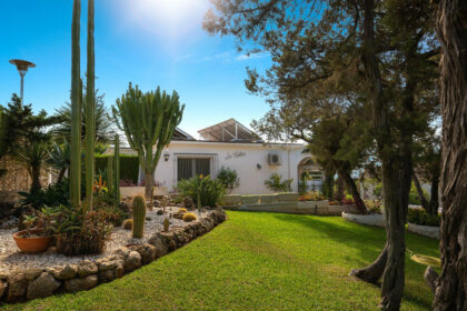 67e4d6bb6731d482a837df071ee76adc - 32