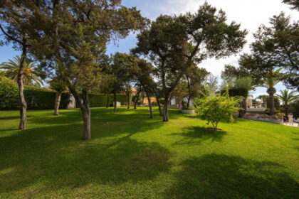 67e4d6bb6731d482a837df071ee76adc - 34