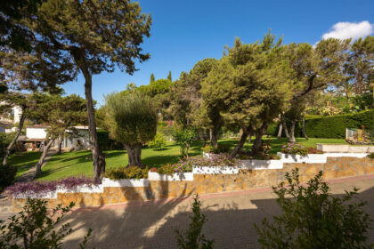 67e4d6bb6731d482a837df071ee76adc - 42