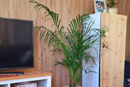 67e6f75975c587b055e668b42f5854dc - 6