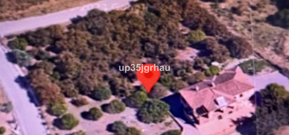 682e008c094e7ac6eb07dbb355572372 - 1