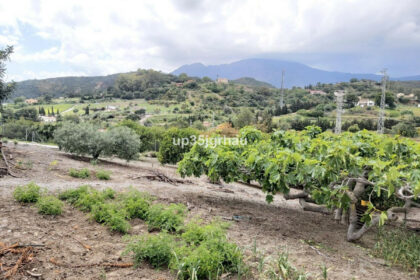 682e008c094e7ac6eb07dbb355572372 - 26