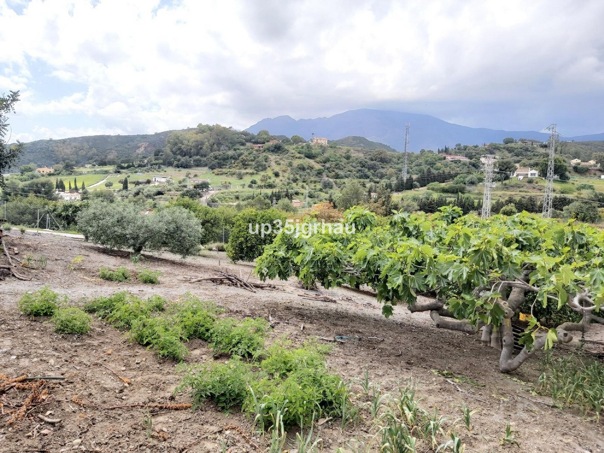 682e008c094e7ac6eb07dbb355572372 - 26