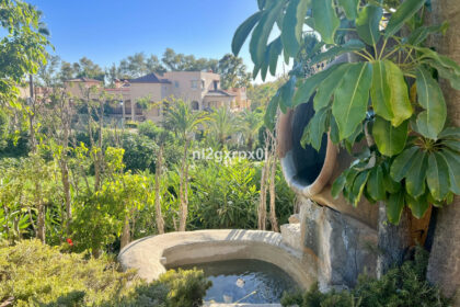 687e320348c5bad459bc72f4a7653581 - 33