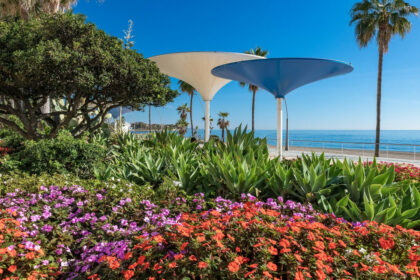 6cdce7ff639614a6be5407f724227bd5 - 19