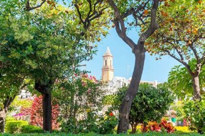 6cdce7ff639614a6be5407f724227bd5 - 25