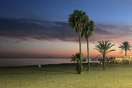 6cdce7ff639614a6be5407f724227bd5 - 29