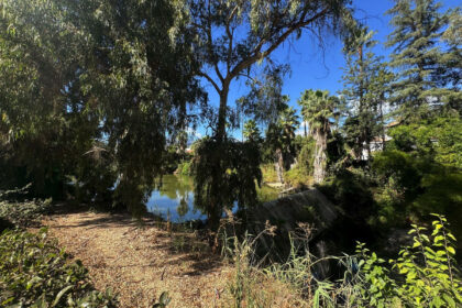 6e2795043ee24160dc8c39a5053d6bd4 - 28