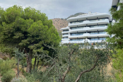 6f25f39f47235b99d2d3d923e65e7b42 - 34