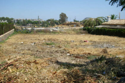 6fa92ae0871a11af8769827b974651e7 - 1