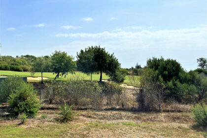 6fcd9bb595187a43270dfece76a4b1bd - 15