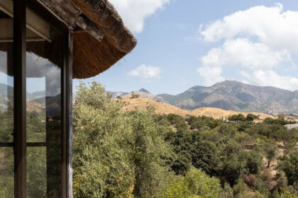 702f9349c4cbbf76a41b4676fcf5bea4 - 32