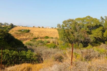 70a674a5aa842ed01b3bcc65cfdba4b6 - 10