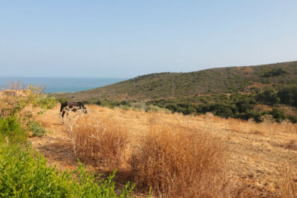 70a674a5aa842ed01b3bcc65cfdba4b6 - 2